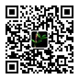 快乐妈咪艾灸馆微信公众号