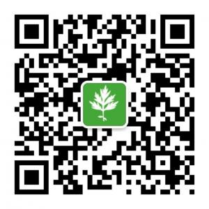 艾赢小助手微信公众号