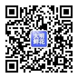 昆明大明鲜花微信公众号