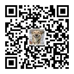 世界新奇笑视频大微信公众号