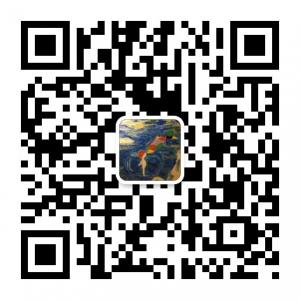 蘑菇不开花微信公众号