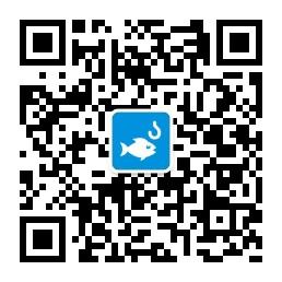 钓鱼技巧大全微信公众号