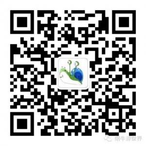 蜗牛游世界微信公众号