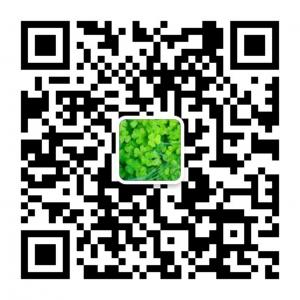 婴儿美励志生活故微信公众号