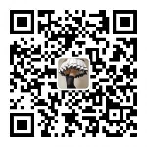 蓝白碗胖次微信公众号