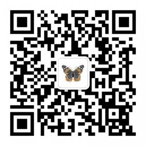 环球珠宝杂志微信公众号