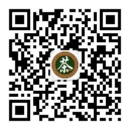 美上茗茶文化微信公众号