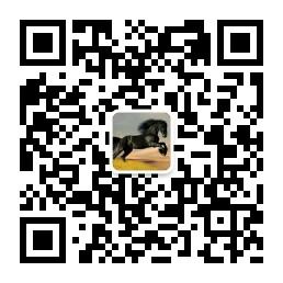 人才服务平台微信公众号