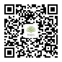 玫瑰派YORYU悠语微信公众号