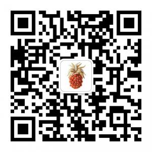 菠萝珠宝报告微信公众号
