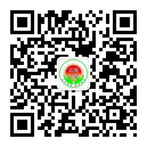 云南教育网微信公众号