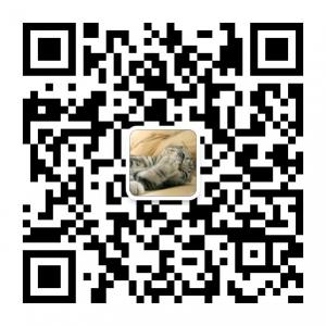 全球爆笑恶搞视频微信公众号