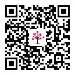 美丽女人心微信公众号