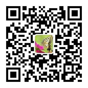 蝶恋花诗词微信公众号