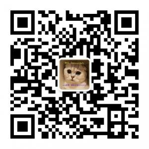 猫咪全球GOGOGO微信公众号