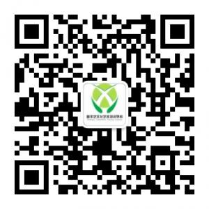 新丰艺文化艺术培微信公众号