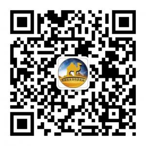 黑骆驼只抓涨停板微信公众号