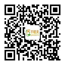 广州市千稻夫贸易微信公众号