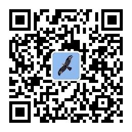 每日励志正能量微信公众号