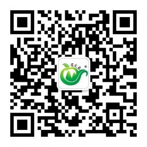 眉尖露高山云雾茶微信公众号