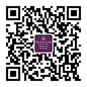 广州九龙湖公主酒微信公众号