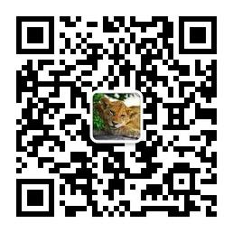 坦桑尼亚旅游微信公众号