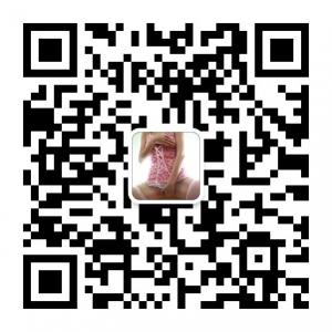 午夜私密区微信公众号