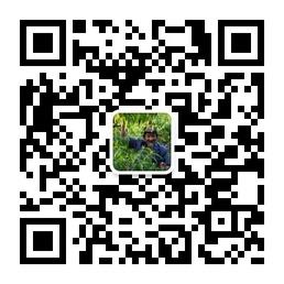 临泉桃花岛微信公众号