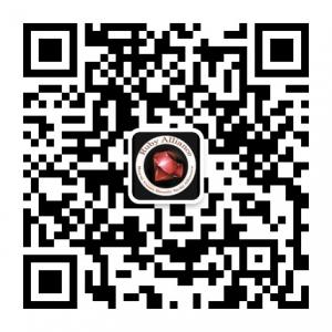 红宝石国际游艇联微信公众号
