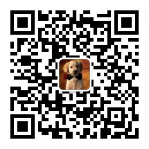 沐雪宠物用品专营店微信公众号