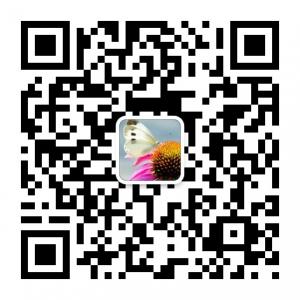 出国旅行摄影微信公众号