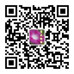 大大的青春物语微信公众号