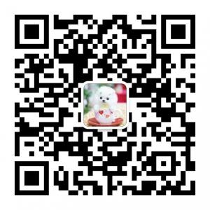 广州吃喝玩乐微信公众号