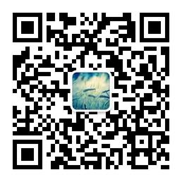 大大大袋袋袋微信公众号