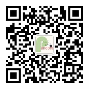 潘多拉呓语微信公众号