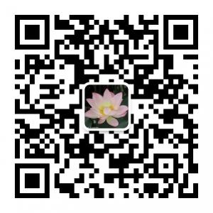 今生佛缘菩提路微信公众号