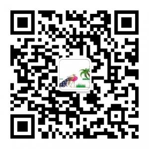 云南百事通微信公众号