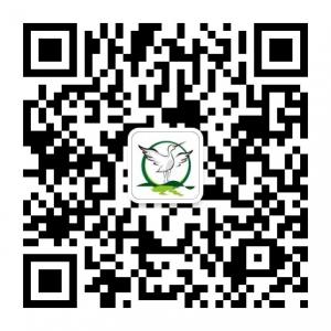 悠悠小白鹭微信公众号