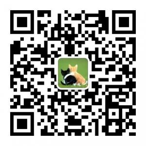 爱你的理由微信公众号