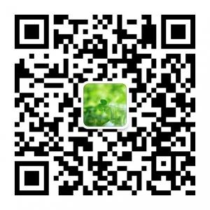 感动自己的小故事微信公众号