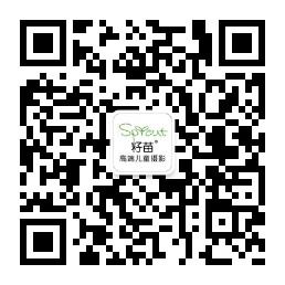 广州籽苗孕婴摄影订阅号微信公众号