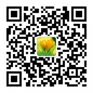 mahong2066微信公众号