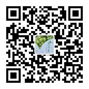 贝基清净果销售代微信公众号