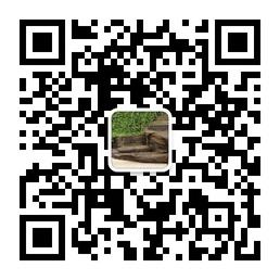 涠洲岛海声音客栈微信公众号