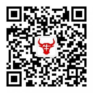 掌中个股资讯微信公众号