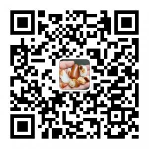 和田玉巴扎微信公众号