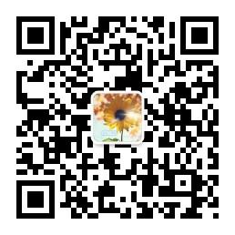 分享小清新微信公众号