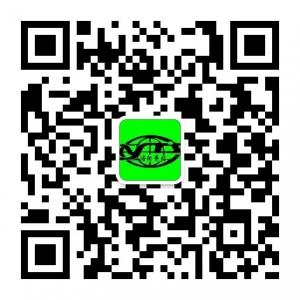 洛阳中国青年旅行微信公众号