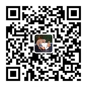 放开那个女孩微信公众号