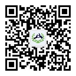 观于海咨询微信公众号